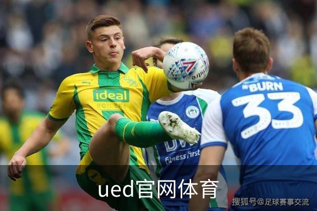 ued官网体育公司简介图片